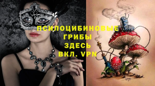 эйфоретик Баксан