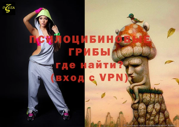 ГАЛЛЮЦИНОГЕННЫЕ ГРИБЫ Аркадак