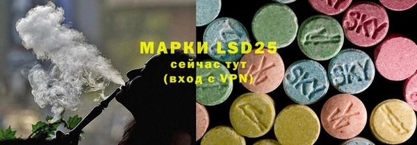 эйфоретик Баксан