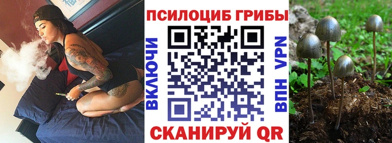 MEGA как зайти  Поворино  shop Telegram  Галлюциногенные грибы мухоморы 